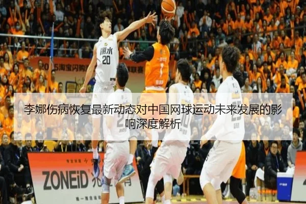 李娜伤病恢复最新动态对中国网球运动未来发展的影响深度解析